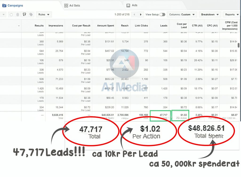 leads Generering resultat