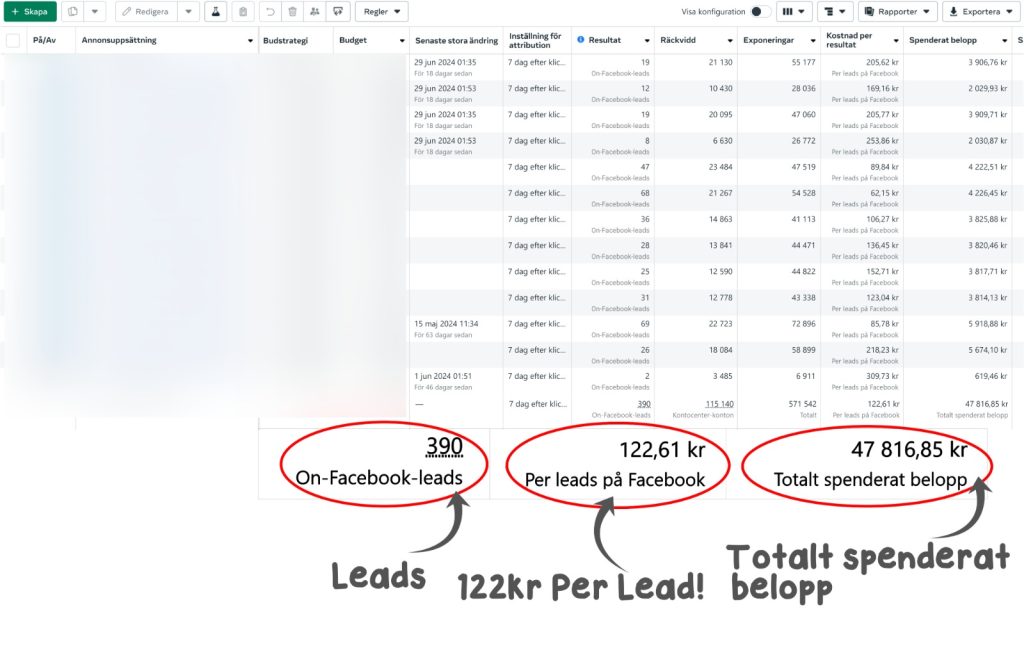 Resultat från Meta Ads för målerifirma i Stockholm - 390 leads med A1 Media 